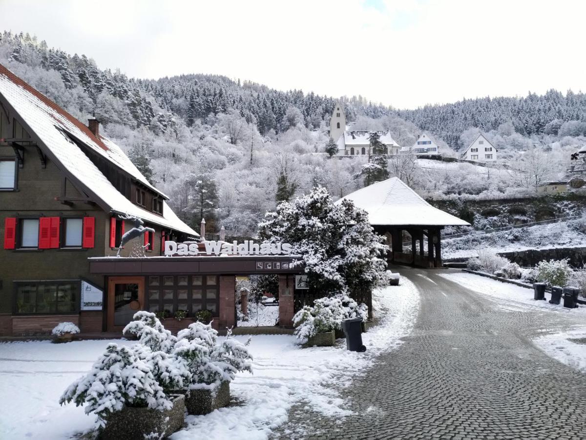 Das Waldhaus ฟอร์บาค ภายนอก รูปภาพ